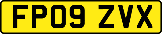 FP09ZVX