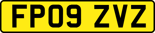 FP09ZVZ