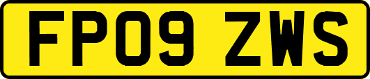 FP09ZWS