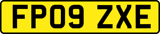 FP09ZXE