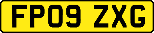 FP09ZXG