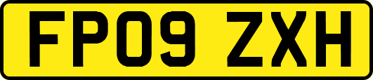 FP09ZXH