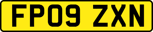 FP09ZXN