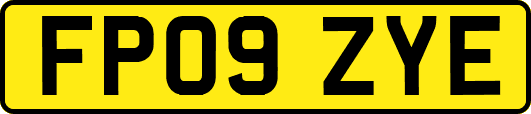 FP09ZYE