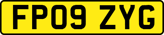 FP09ZYG
