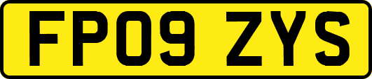 FP09ZYS