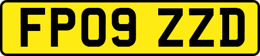 FP09ZZD