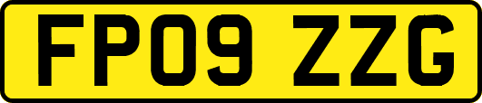 FP09ZZG
