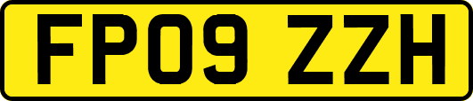 FP09ZZH