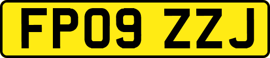 FP09ZZJ