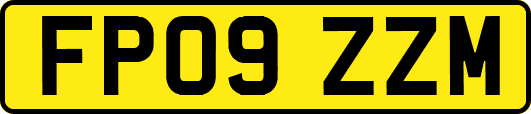 FP09ZZM