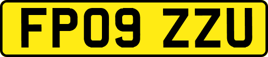 FP09ZZU