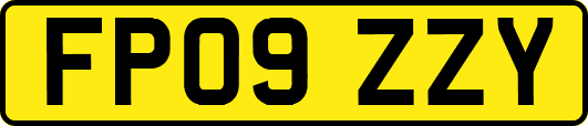 FP09ZZY