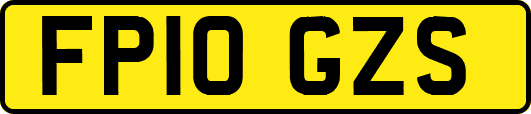 FP10GZS