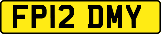 FP12DMY