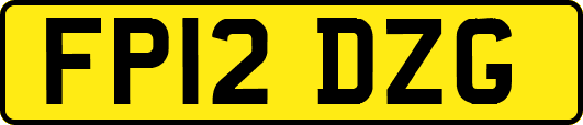 FP12DZG