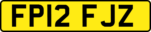 FP12FJZ