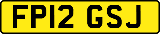 FP12GSJ