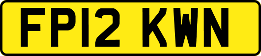FP12KWN