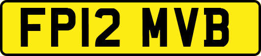 FP12MVB