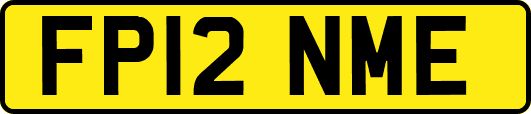 FP12NME