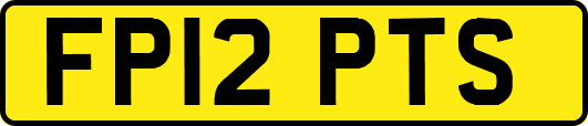 FP12PTS