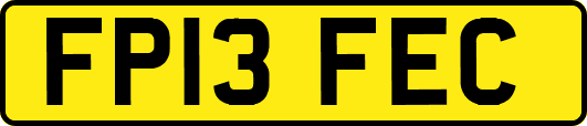 FP13FEC