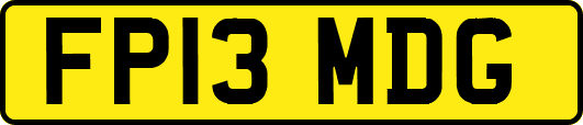 FP13MDG