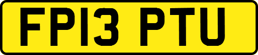 FP13PTU