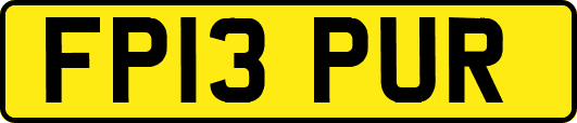 FP13PUR