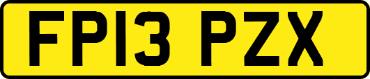 FP13PZX