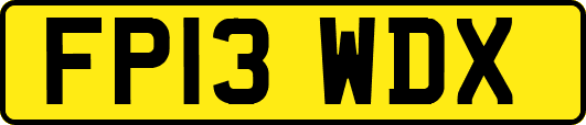 FP13WDX