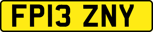 FP13ZNY