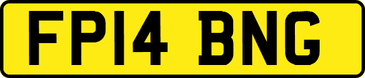 FP14BNG