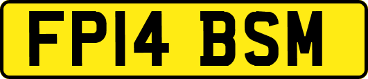FP14BSM