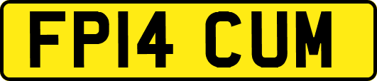 FP14CUM