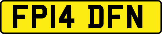 FP14DFN