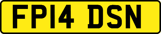 FP14DSN
