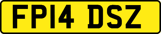 FP14DSZ