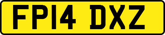 FP14DXZ