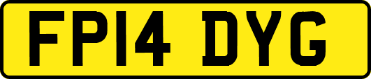 FP14DYG
