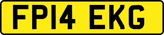 FP14EKG
