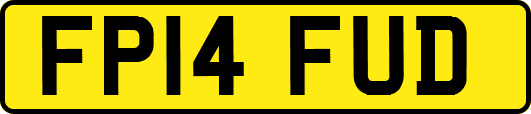 FP14FUD