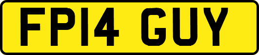 FP14GUY