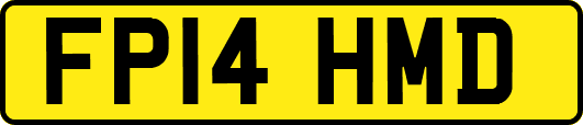 FP14HMD