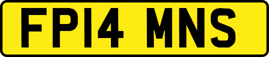 FP14MNS