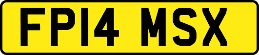 FP14MSX