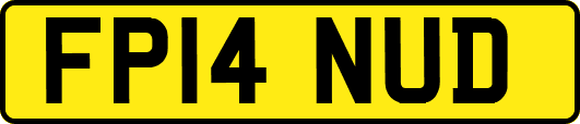 FP14NUD