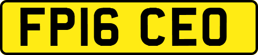 FP16CEO
