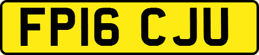 FP16CJU